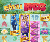 Royal Frog