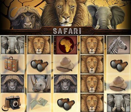 Safari